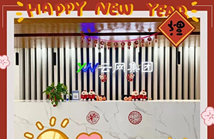 元春始風(fēng)華，萬(wàn)象啟新朝|元旦快樂(lè)