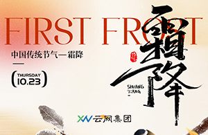 濕冷開局，鄭州人的霜降指南